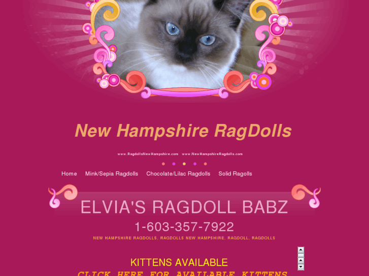 www.newhampshireragdolls.com