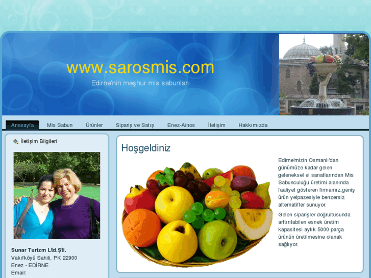 www.sarosmis.com