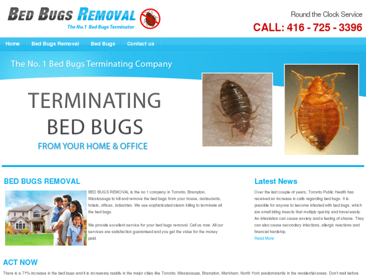 www.bed-bugs-removal.com