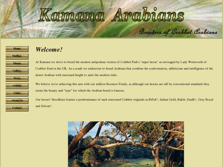 www.kamana-arabians.com