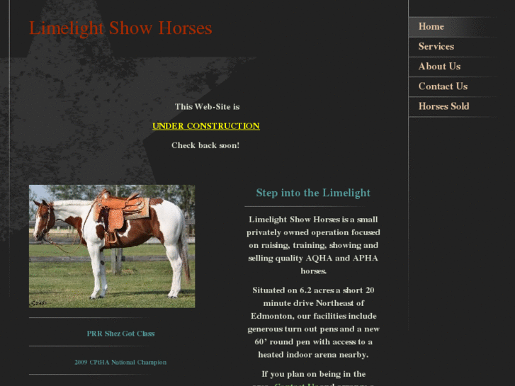 www.limelightshowhorses.com