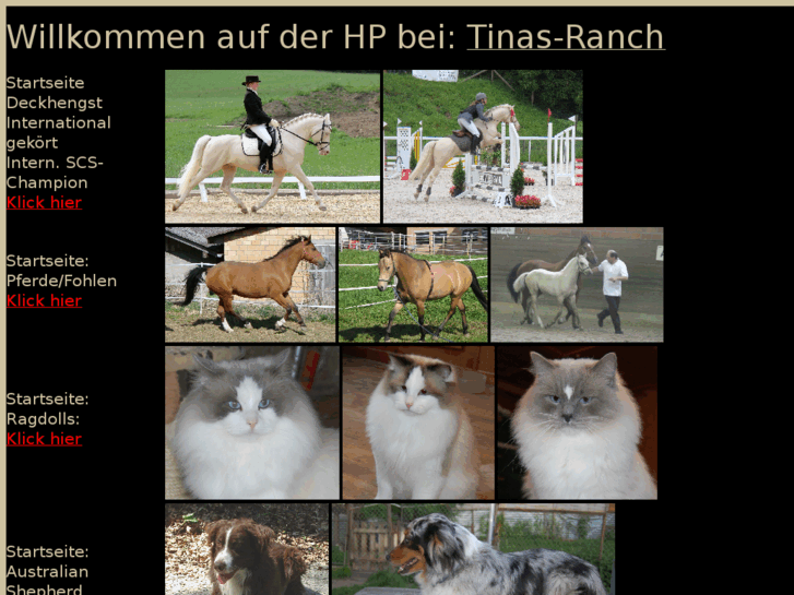 www.tinas-ranch.ch