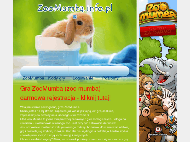 www.zoomumba.info.pl