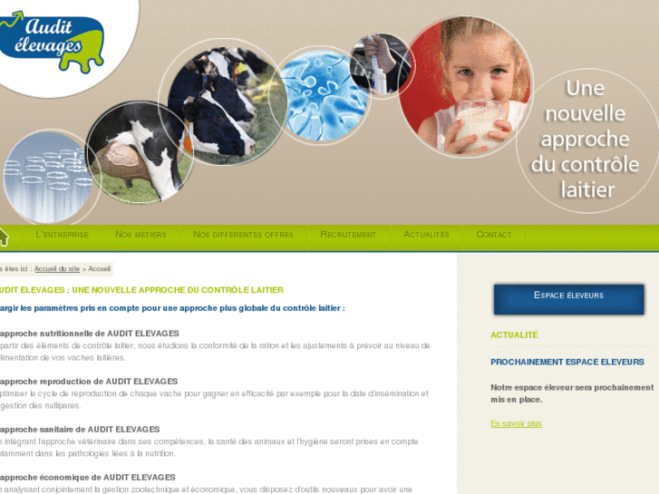 www.auditelevages.info