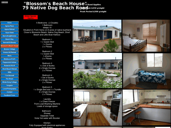 www.blossomsbeach.com