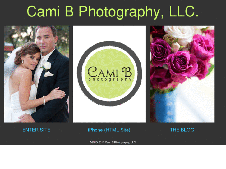 www.camibphotography.com