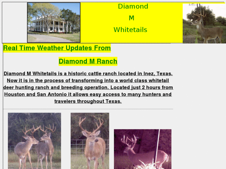 www.diamondmweather.com