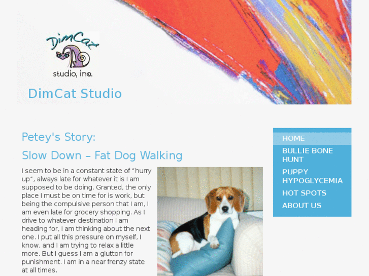 www.dimcatstudio.com