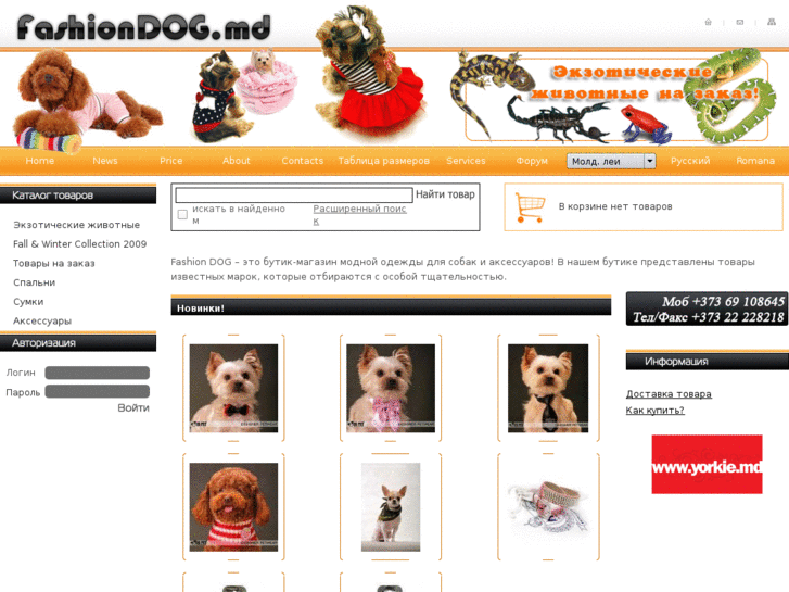 www.fashiondog.net