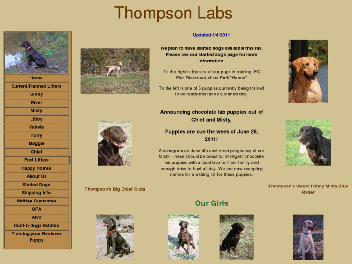 www.thompsonlabs.net