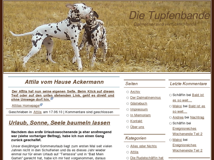 www.tupfenbande.de