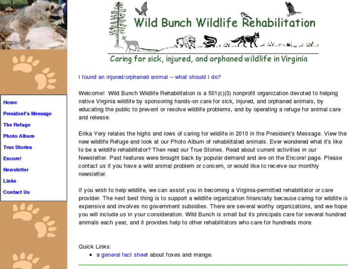 www.wildbunchrehab.org