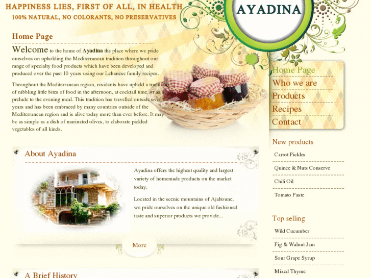 www.ayadina.com