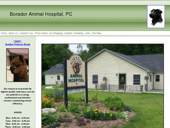 www.boradoranimalhospital.com