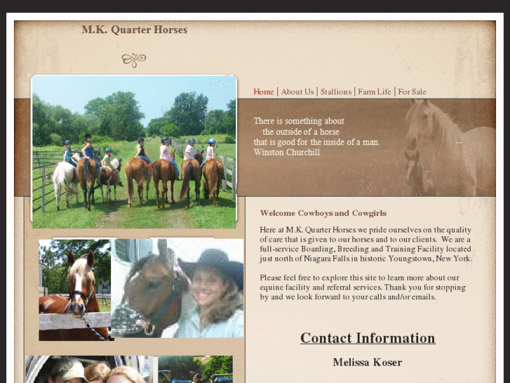 www.mk-quarterhorses.com