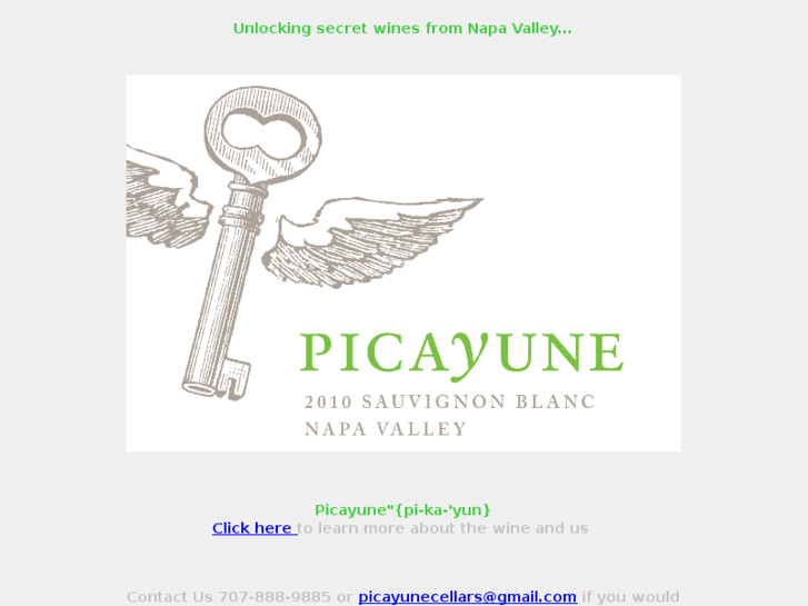 www.picayunecellars.com