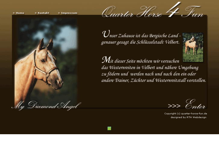www.quarter-horse.biz