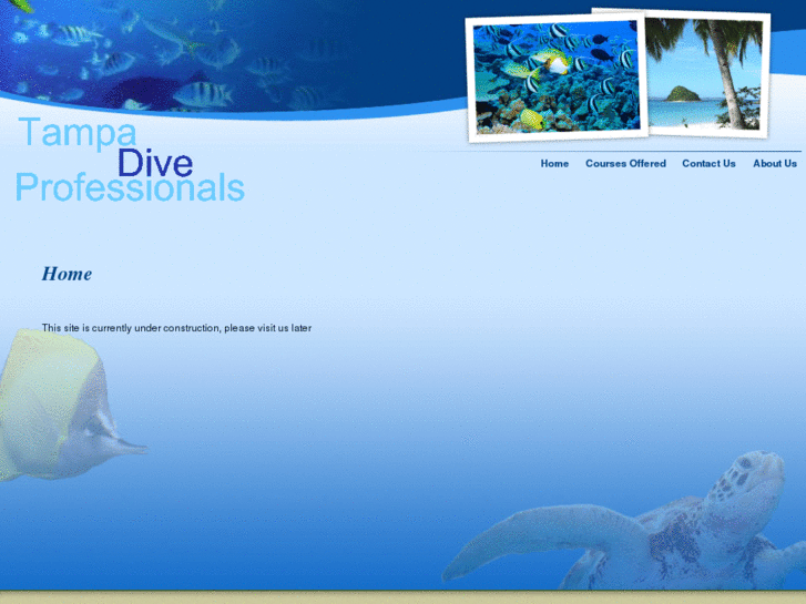 www.tampadiveprofessionals.com