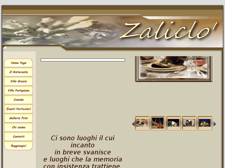 www.zaliclo.it