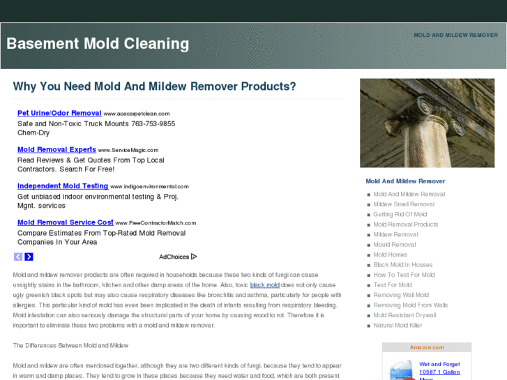 www.basementmoldcleaning.com