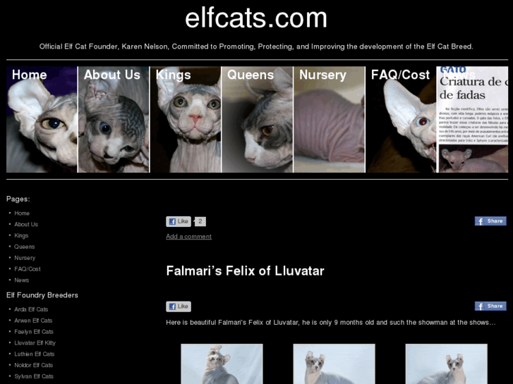 www.elfcats.biz