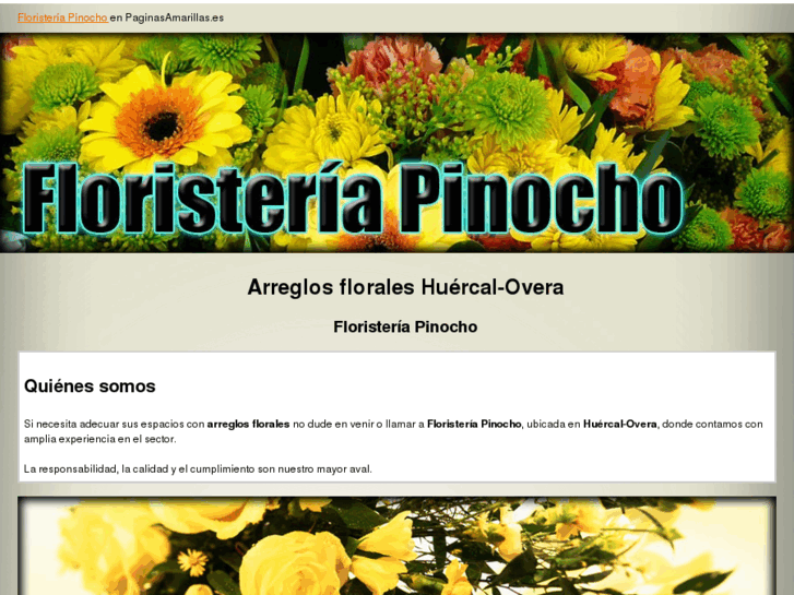 www.floristeriapinocho.com