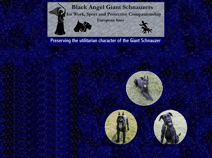 www.blackangeldogs.com