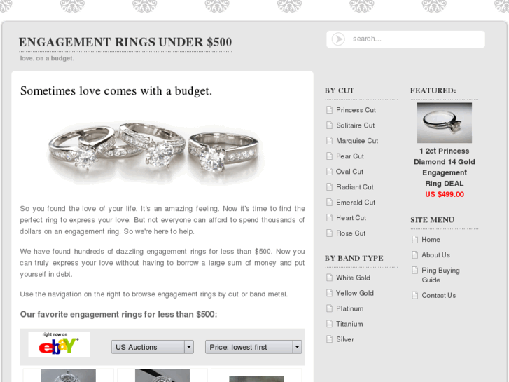 www.engagementringsunder500.com