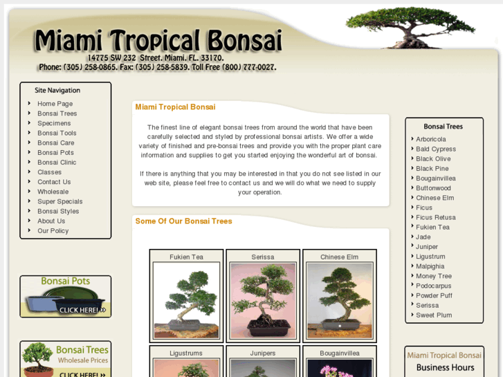 www.miamitropicalbonsai.com