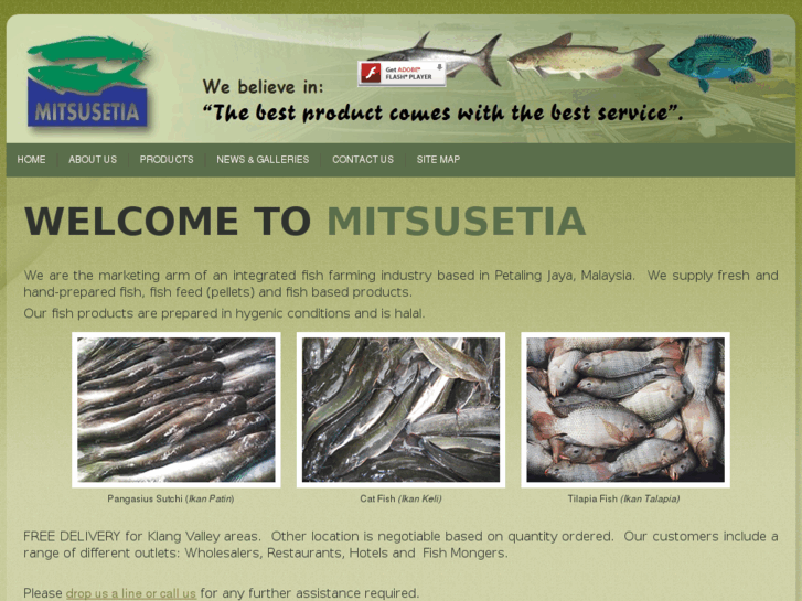 www.mitsusetia.com