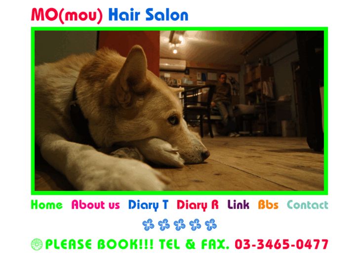 www.mo-salon.com