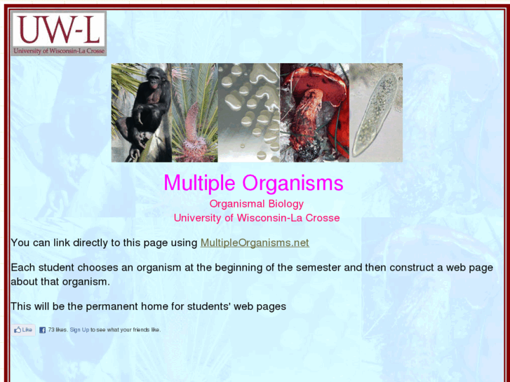 www.multipleorganisms.net