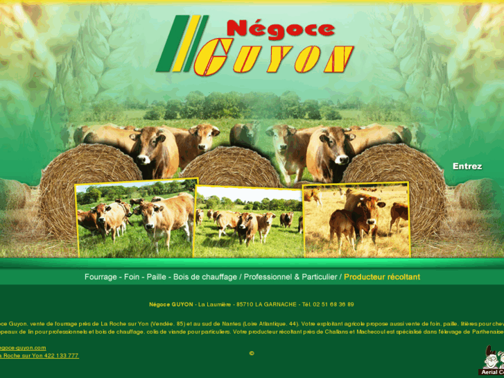 www.negoce-guyon.com