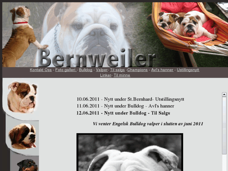 www.bernweiler.com