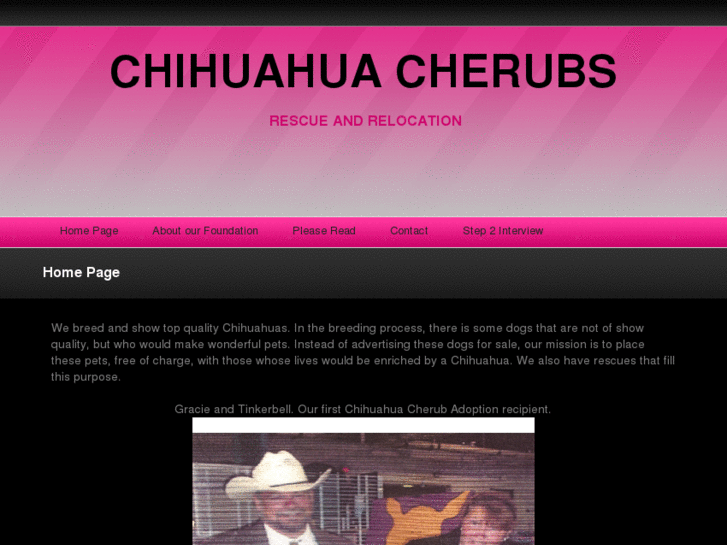 www.chihuahuacherubs.com