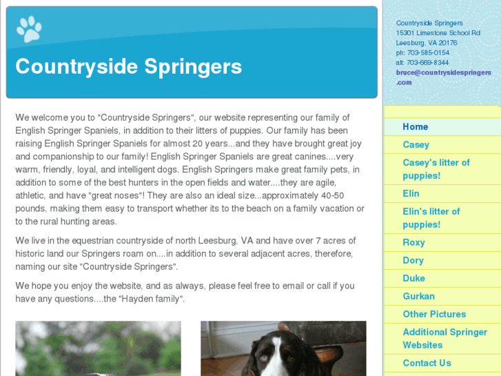 www.countrysidespringers.com