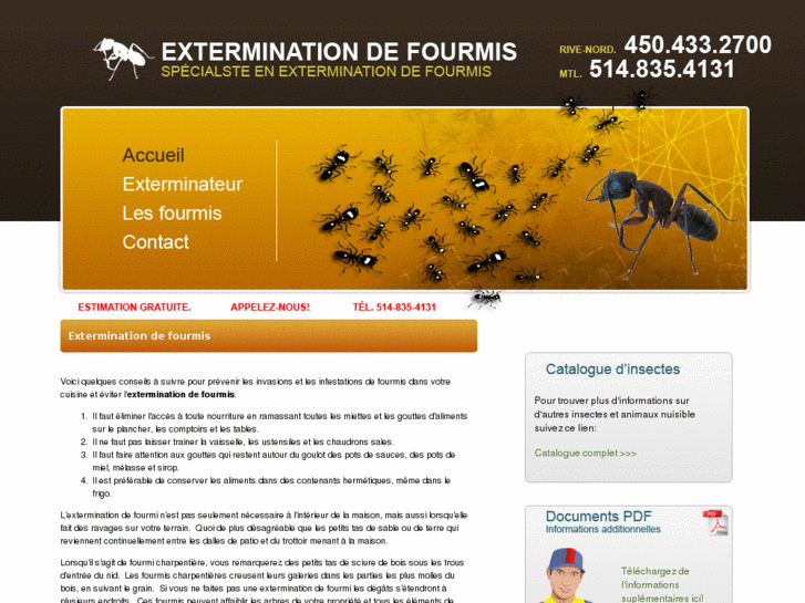 www.exterminationdefourmis.com