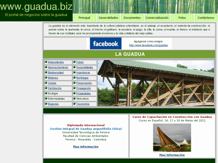 www.guadua.biz