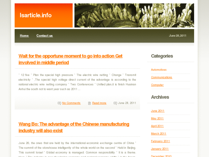 www.isarticle.info