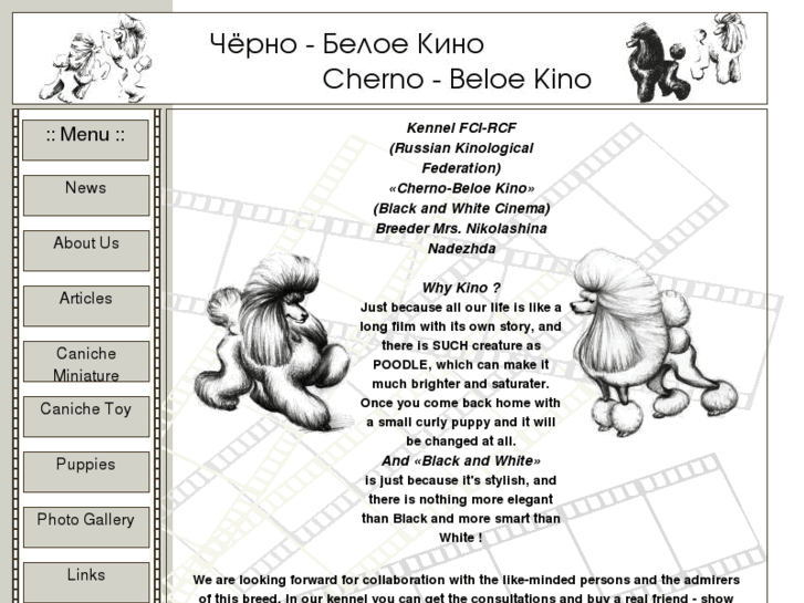 www.kino-poodles.com