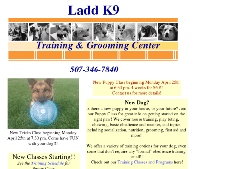 www.laddk9.com