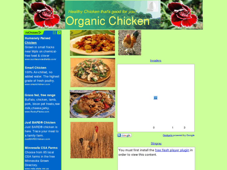 www.organicchickens.org