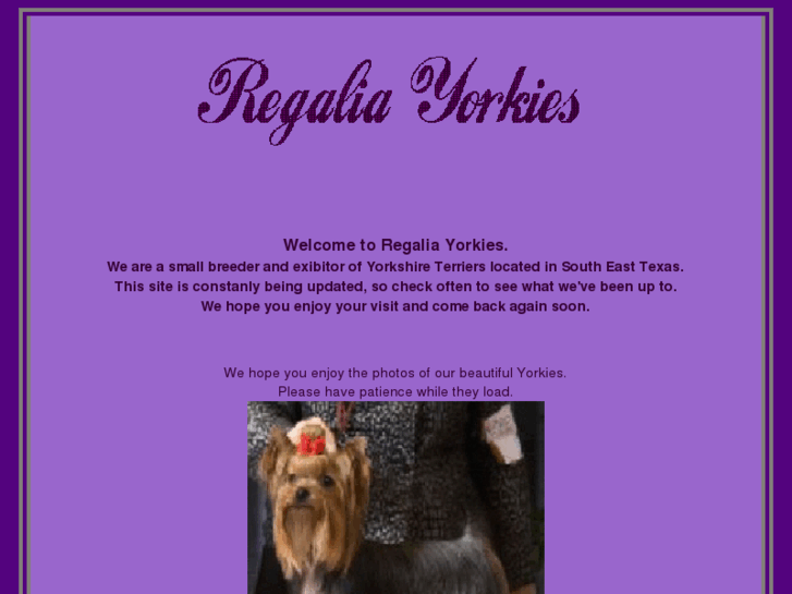 www.regaliayorkies.com