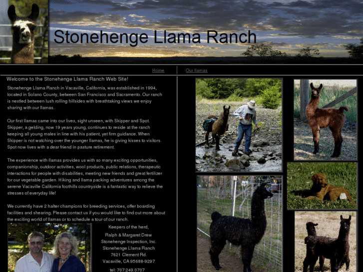 www.stonehengellamas.com