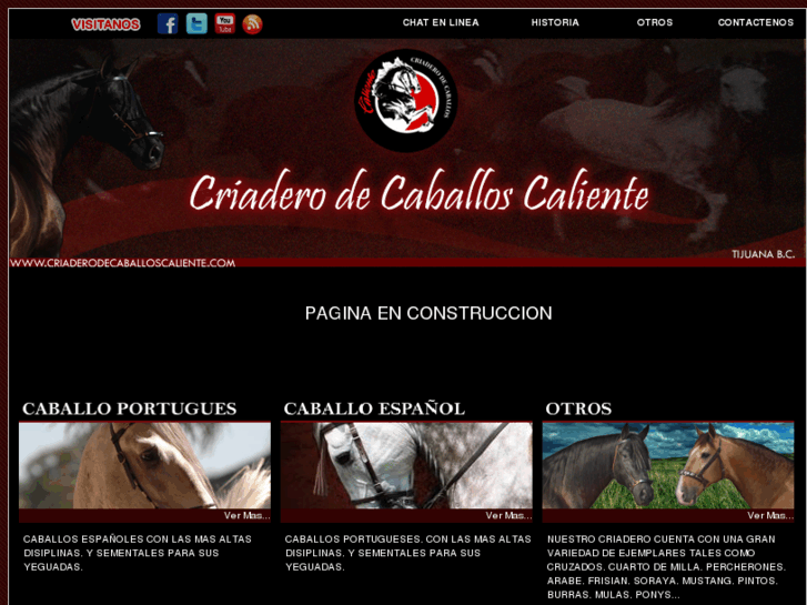 www.criaderodecaballoscaliente.com