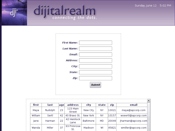 www.dijitalrealm.com