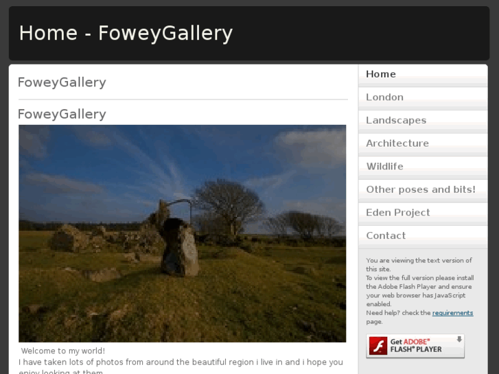 www.foweygallery.com