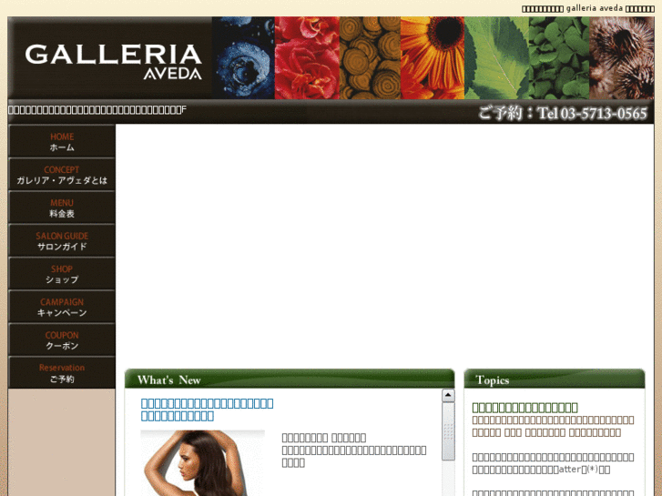 www.galleria-aveda.com