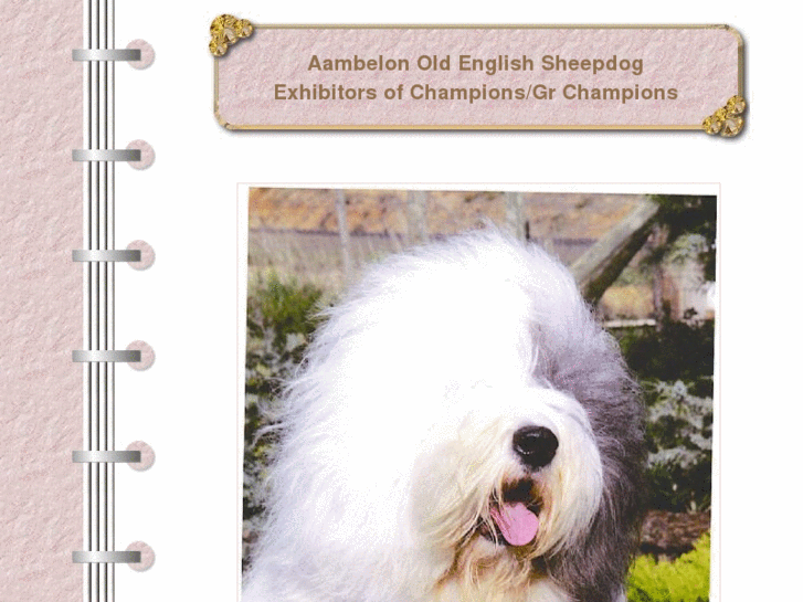 www.oldenglishsheepdogsaambelon.com