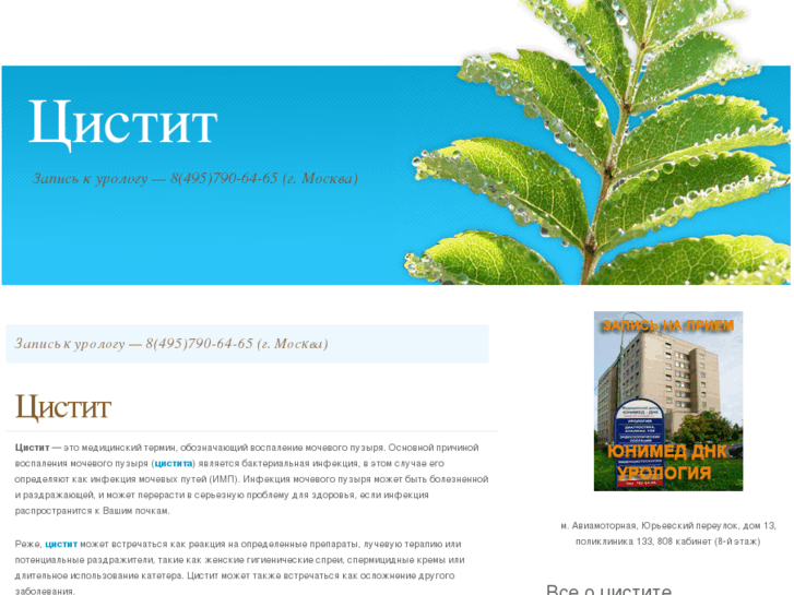 www.cystitis-treatment.ru